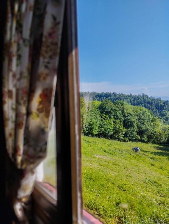 Basoeta Villa Baserri-Santa Ana Kültér fotó